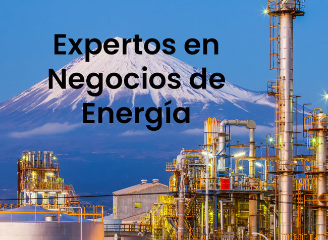 Energy Business Experts Spanish